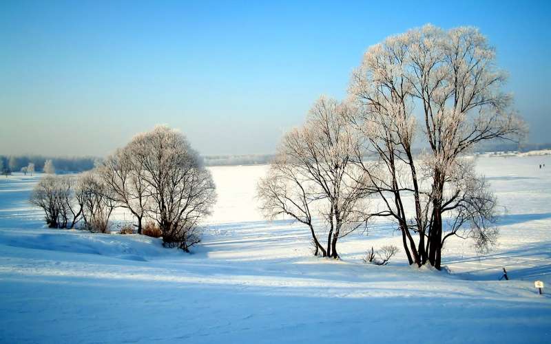 2 Winter Nature Wallpaper