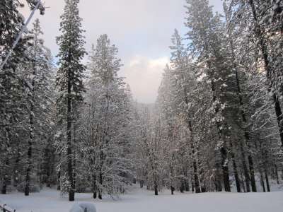 Snow And Winter