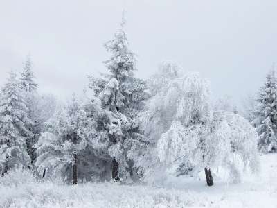 Snow And Winter