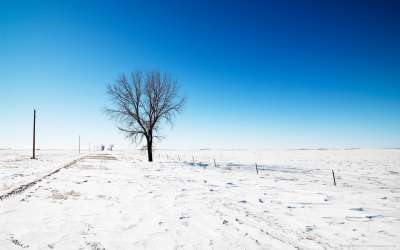 Snow And Winter