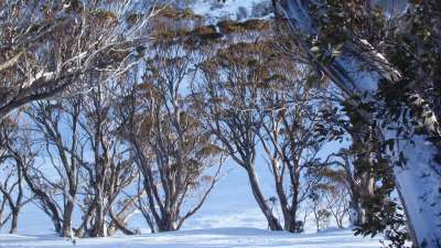 Snow And Winter