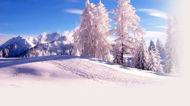 2 Winter Nature Wallpaper