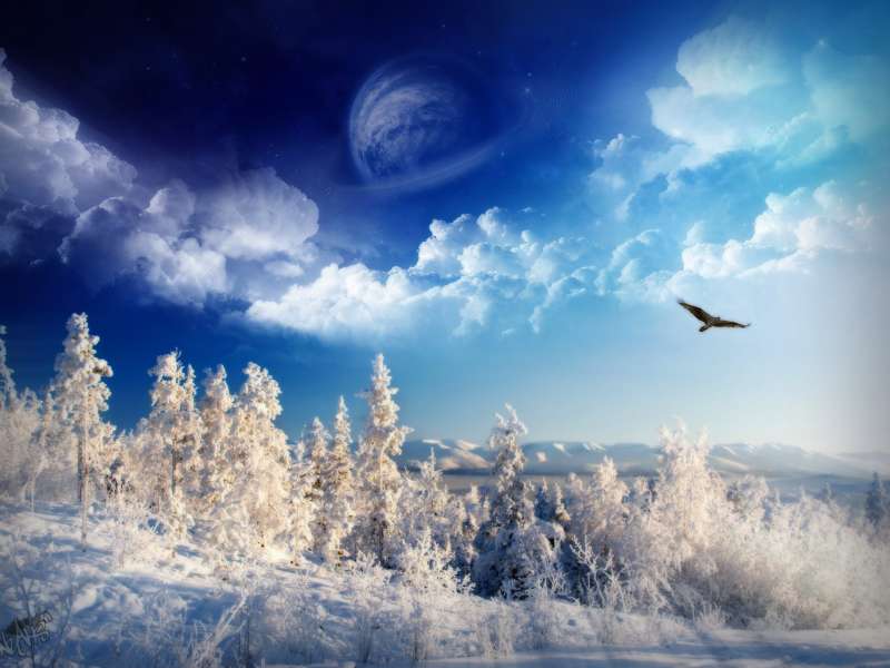 2 Winter Nature Wallpaper