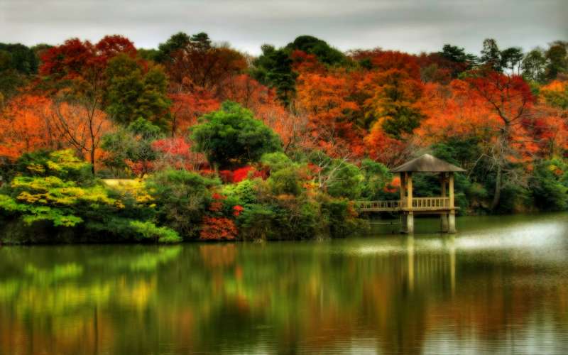 Autumn Time In Nature Wallpaper